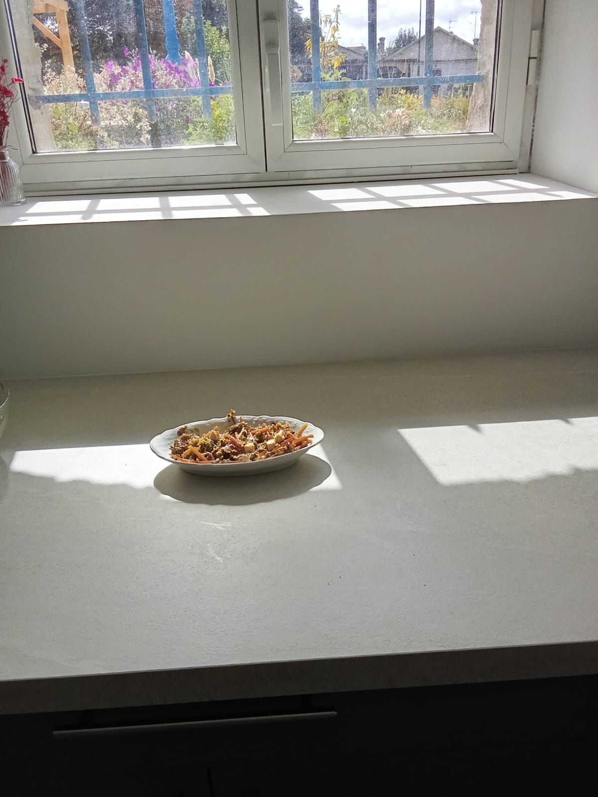 La salade de pourpier posée au soleil sur le plan de travail, devant la fenêtre qui donne sur le jardin